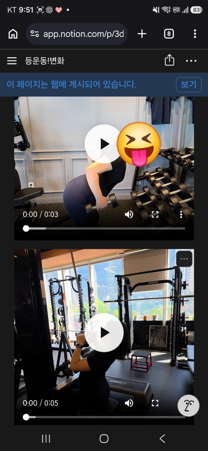 노션에 등 운동 변화 영상이 정리된 화면