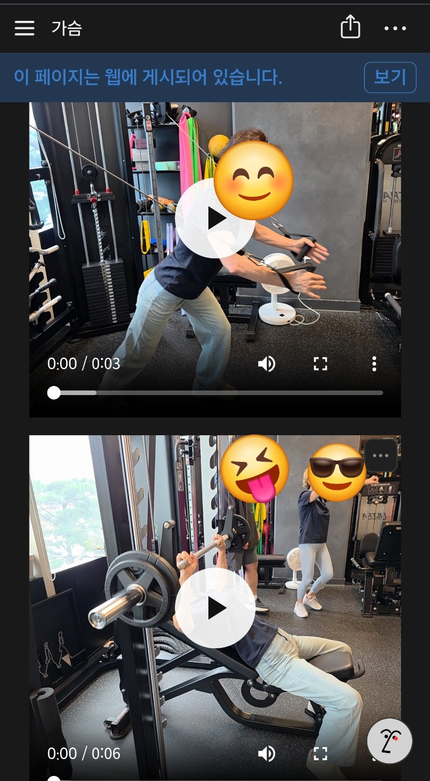 노션에 가슴 운동 영상이 정리된 화면