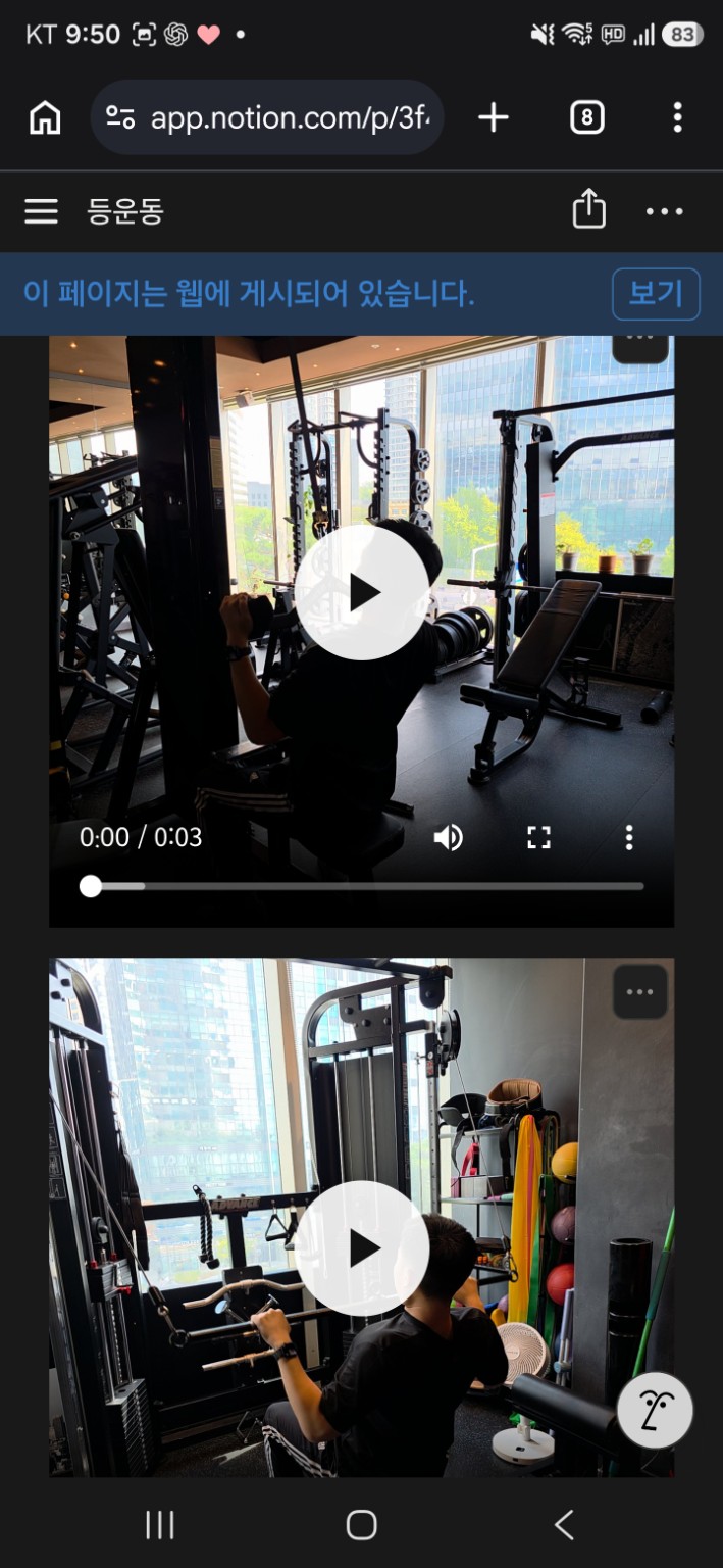 노션에 부위별 운동 영상이 정리된 실제 페이지 화면